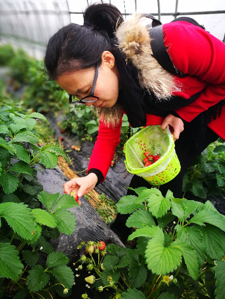 1521610080640920.png 1521610080640920.png